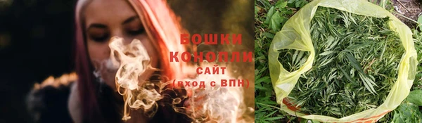 эйфоретик Галич