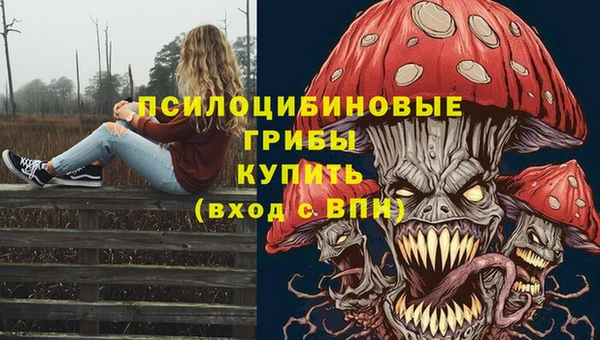 герыч Карпинск