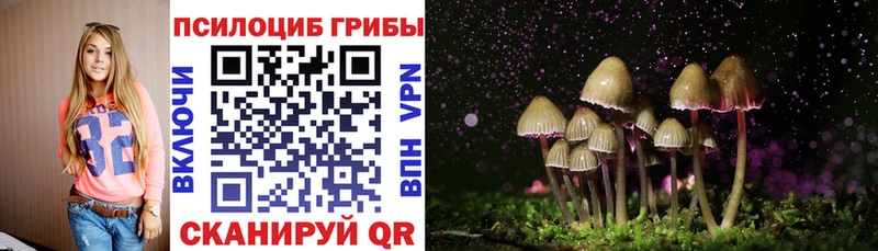 Галлюциногенные грибы Psilocybe  hydra   Кинель  цена наркотик 
